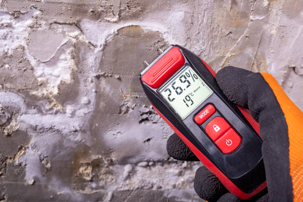 Best Toxic Mold Removal  in Sergeant Bluff, IA