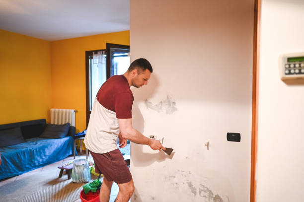 Best Residential Mold Removal  in Sergeant Bluff, IA