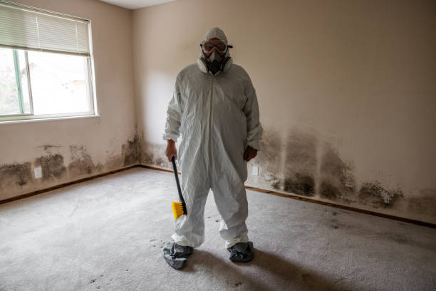 Best Crawl Space Mold Removal  in Sergeant Bluff, IA